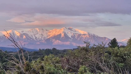 Gîtes - Pierre PELOU Vigneron - Vignerons Indépendants