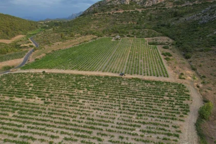 Gîtes - Pierre PELOU Vigneron - Vignerons Indépendants