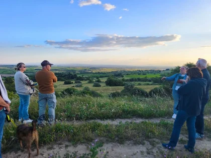 Golden Hour au Domaine - Vignerons Indépendants