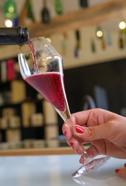 Visite guidée et dégustation commentée - Vignerons Indépendants