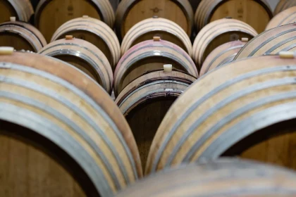 Immersion dans l’univers du vigneron - Vignerons Indépendants