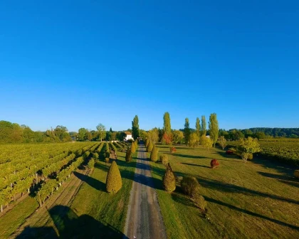 IMMERSION EN TERROIR FAMILIAL - Vignerons Indépendants