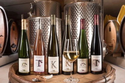 L'ATELIER SENSORIEL - Vignerons Indépendants