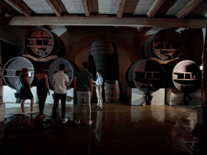 Visit and tasting - Vignerons Indépendants