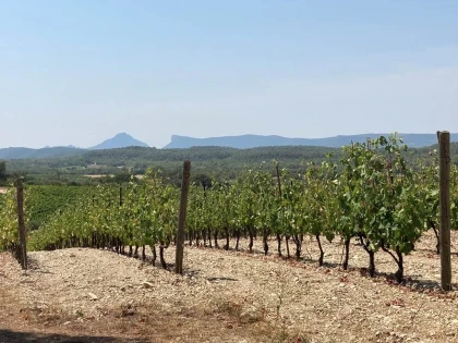 La Bergerie de Fenouillet - Vignerons Indépendants