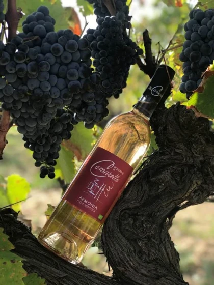 La Chasse au Vin - Vignerons Indépendants