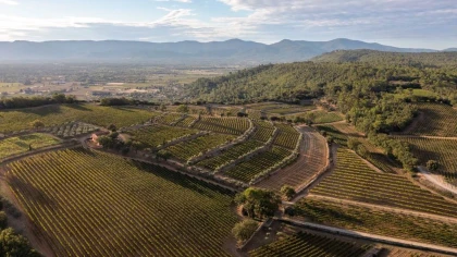 La Quintessence de La Mascaronne - Visite et dégustation - Vignerons Indépendants
