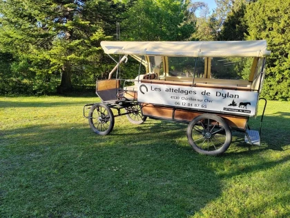 La vigne et le vin, au rythme des sabots - Vignerons Indépendants