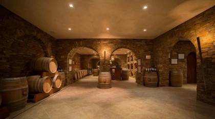 La visite Atypique - Vignerons Indépendants
