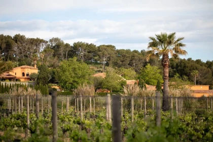 La visite Atypique - Vignerons Indépendants