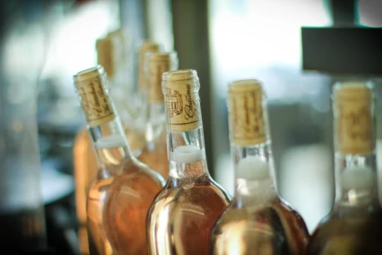Visite Guidée Privée du Vignoble : Cave & Dégustation à Roquebrune-sur-Argens, Var - Vignerons Indépendants