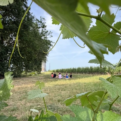 Yoga du rire dans les vignes et dégustation de vins - Vignerons Indépendants