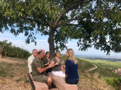 Les Gîtes de la Mère Michèle - Vignerons Indépendants