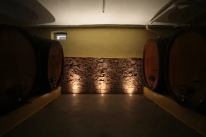 Les sens en folie : le vin à travers l'odorat et le goût - Vignerons Indépendants