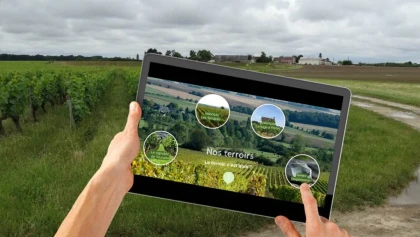 Les sentiers du vin - Vignerons Indépendants