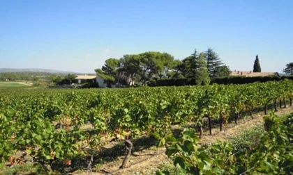 Mas de Bayle - Vignerons Indépendants