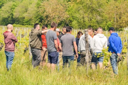 Œno’Quest - Visite au choix + OenoQuizz - Vignerons Indépendants