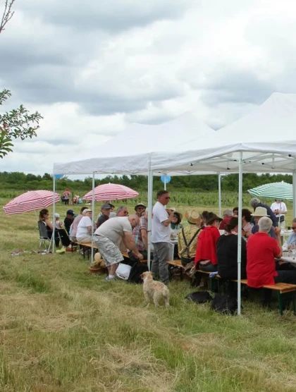 Pack dégustation + déjeuner - Vignerons Indépendants