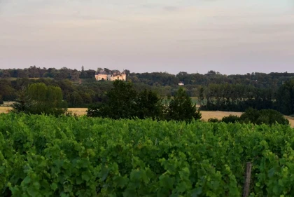 Pack randonnée + dégustation + déjeuner - Vignerons Indépendants