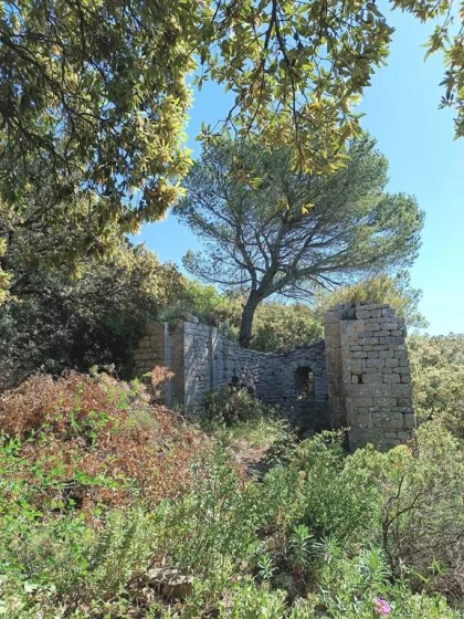 Patrimoine / Paysage : Visite de La Chapelle Saint Victor de Castel - Vignerons Indépendants