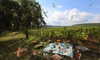 Pique-nique dans les vignes - Vignerons Indépendants