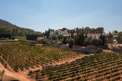 Pique-nique du vigneron - Vignerons Indépendants