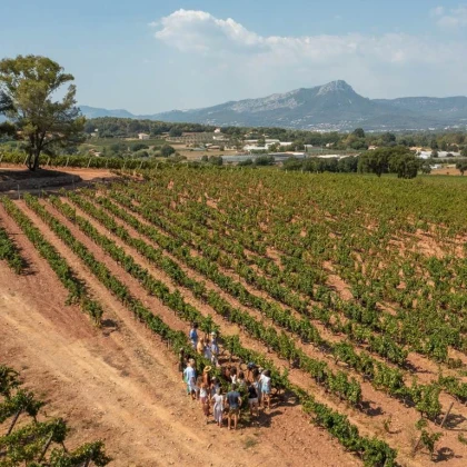 Pique-nique du vigneron - Vignerons Indépendants