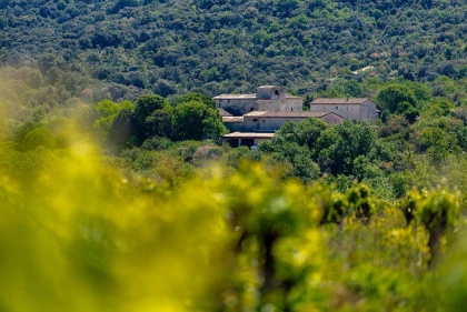 Pique-nique Vigneron - Vignerons Indépendants