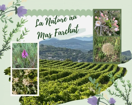 Portes ouvertes x Pique Nique du Vigneron Indépendant - Vignerons Indépendants