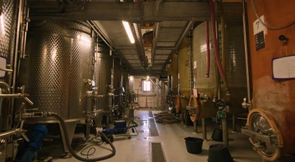 Premiers pas à Blancardy - Vignerons Indépendants