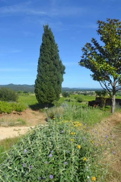 PRIVATISATION MARIAGE - Vignerons Indépendants