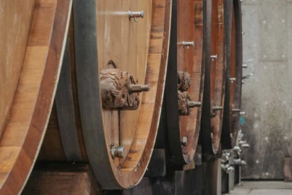 Promenade électrique dans le vignoble d'Alsace - Vignerons Indépendants