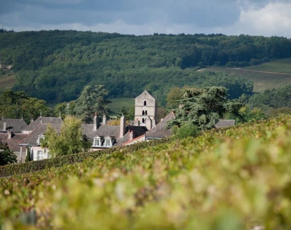 Rully and Mercurey, the secrets of our terroirs - Vignerons Indépendants