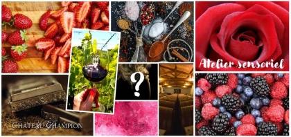 Saint-Émilion : Atelier Sensoriel - Vignerons Indépendants