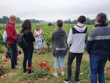 Saint-Émilion : Balade Nature & 4 Vins - Vignerons Indépendants