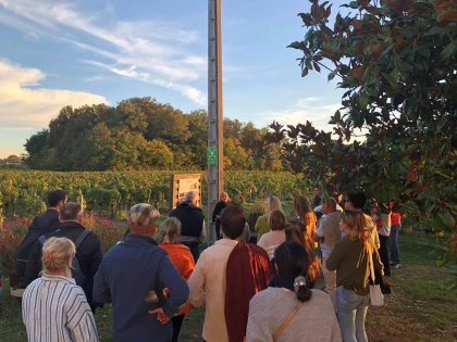 Saint-Émilion : Balade sensorielle - Vignerons Indépendants