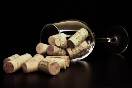 Saint-Émilion : Visite Prestige - Vignerons Indépendants