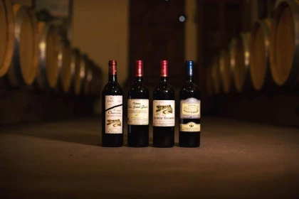 Saint-Émilion : Visite Prestige - Vignerons Indépendants