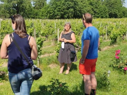 Saint-Émilion : Visite privée et dégustation 3 vins - Vignerons Indépendants