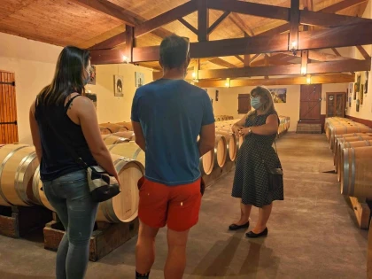 Saint-Émilion : Visite privée et dégustation 3 vins - Vignerons Indépendants
