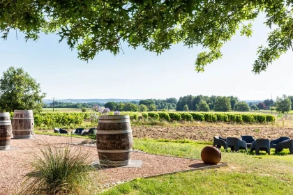 Saveurs du vignoble - Balade et dégustation - Vignerons Indépendants