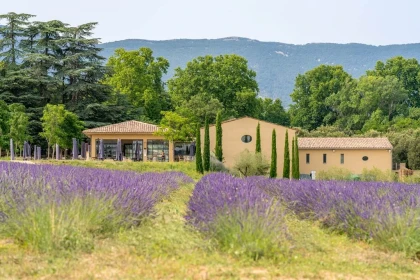 Séminaire à la journée - Vignerons Indépendants