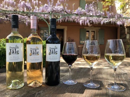 Soirée Apéro'Jale Vin & Fromages 20 septembre 2025 - Vignerons Indépendants