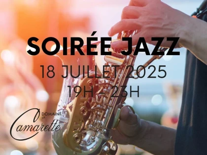 Soirée Vin & Culture – Musique au Domaine - Vignerons Indépendants