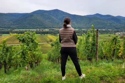 Sophrologie et Dégustation au Coin du Feu - Vignerons Indépendants