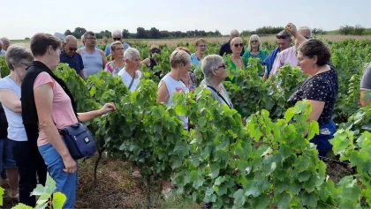Sur les pas du vigneron - Formule gourmande - Vignerons Indépendants
