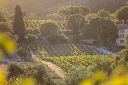 Sur les traces de La Mascaronne - Visite immersive et dégustation - Vignerons Indépendants