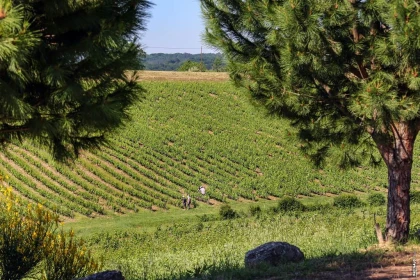 UN VOYAGE EN 3 ETAPES  AU COEUR DU DOMAINE - Vignerons Indépendants