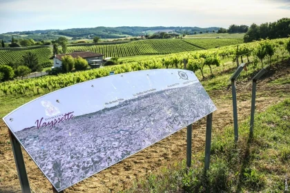 UN VOYAGE EN 3 ETAPES  AU COEUR DU DOMAINE - Vignerons Indépendants