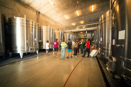 Vendanges pour tous : journée complète au Domaine Pierre et Bertrand Couly à Chinon - Vignerons Indépendants